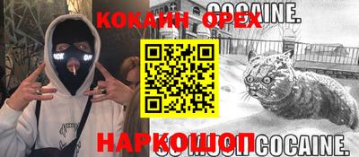 apvp Кунгур