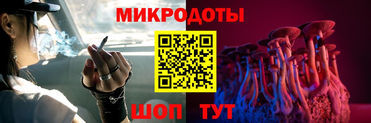 Псилоцибиновые грибы Psilocybine cubensis Ивантеевка